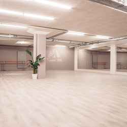 Das Tanzkurse Area4 Dance Center von Natalia López bietet ein geräumiges Studio mit Spiegeln, Ballettstangen und einer Topfpflanze.