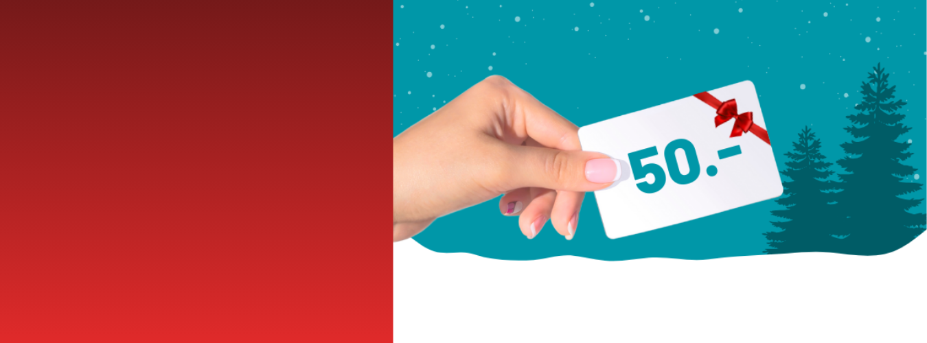 Eine Hand hält eine 50-Dollar-Geschenkkarte mit einer roten Schleife vor einem verschneiten, winterlichen Hintergrund mit Bäumen.